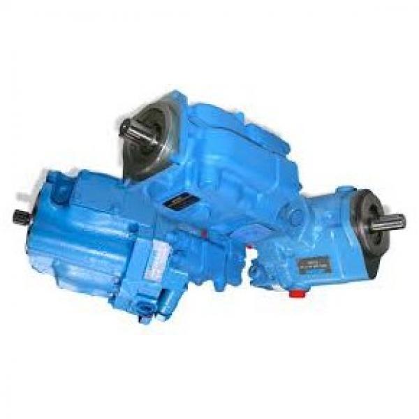 Daikin MFP100/3.2-2-0.75-10 Motor Pump #3 image
