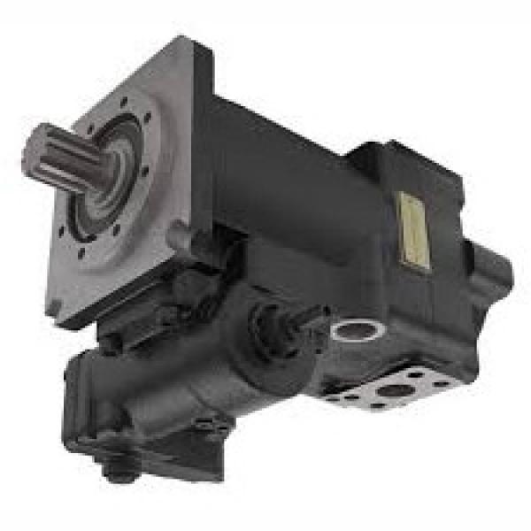 Rexroth A10VSO45DFR1/31R-PPA12K00 Axial Piston Variable Pump #1 image