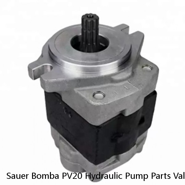Sauer Bomba PV20 Hydraulic Pump Parts Valve Plate,Cylinder Block,Piston,Retainer Plate #1 image